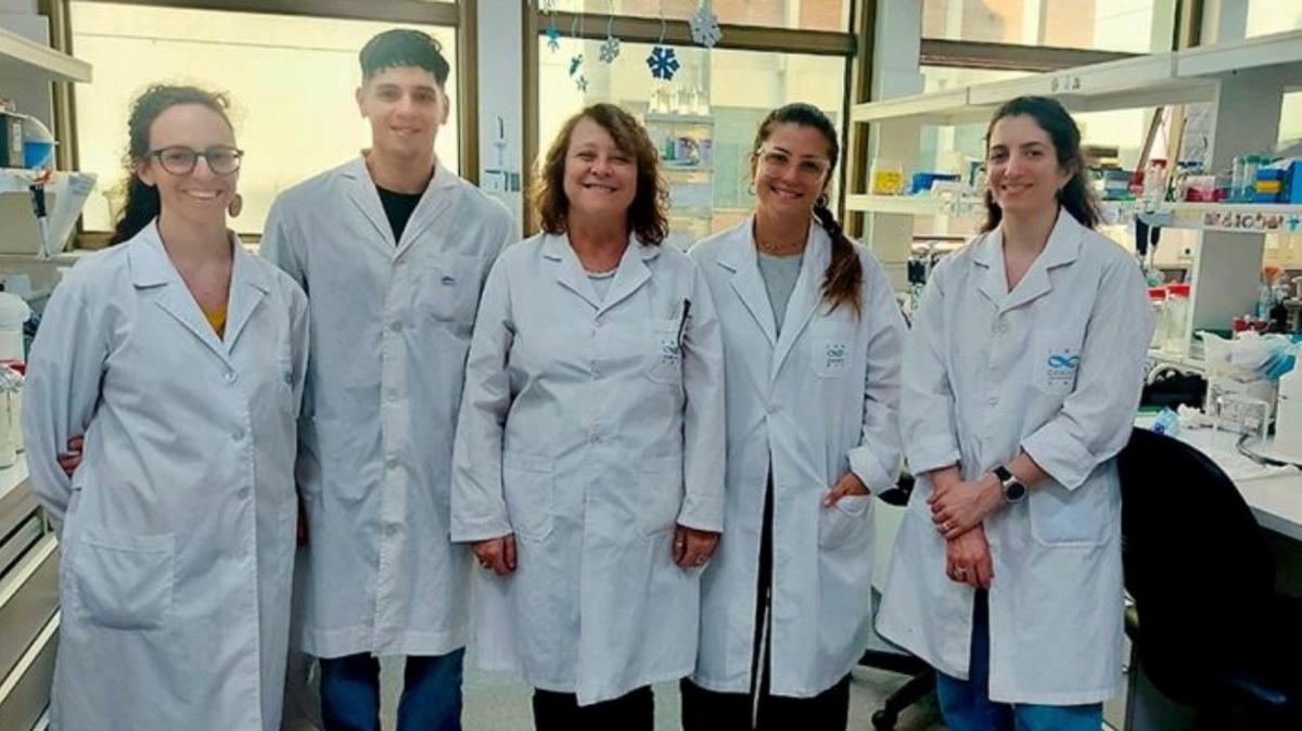 Un equipo del CONICET desarrolla un test rápido para detectar el dengue en etapas tempranas