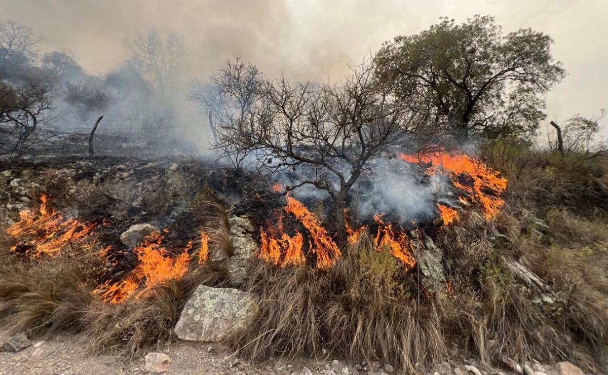 FOTO: Incendios en Córdoba.