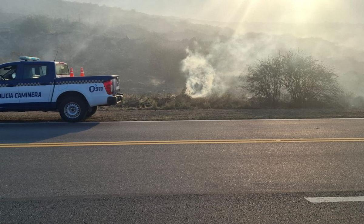 Incendio en la Quebrada del Condorito: más de 200 bomberos combaten las llamas.