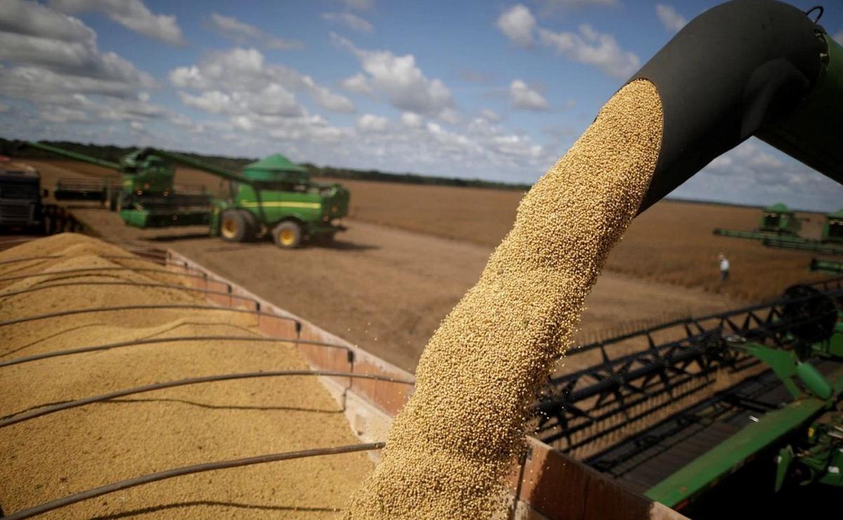 El campo tendrá un nuevo período de baja de retenciones.
