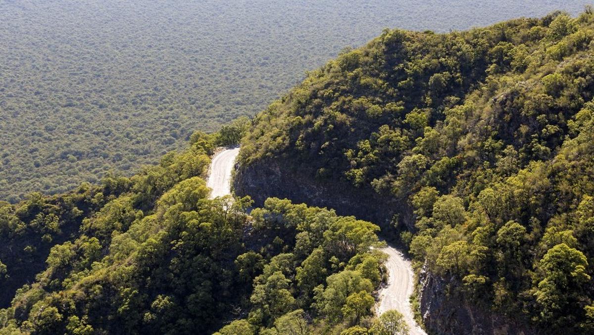 El Parque Nacional Traslasierra Pinas se agranda. (Foto: Malena Srur)
