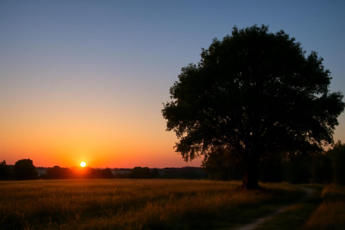 Clima en Santa Fe: pronóstico para el lunes 5 de enero
