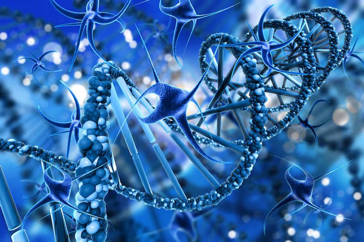 Familias enfrentan hasta diez años sin diagnóstico de genodermatosis en sus hijos