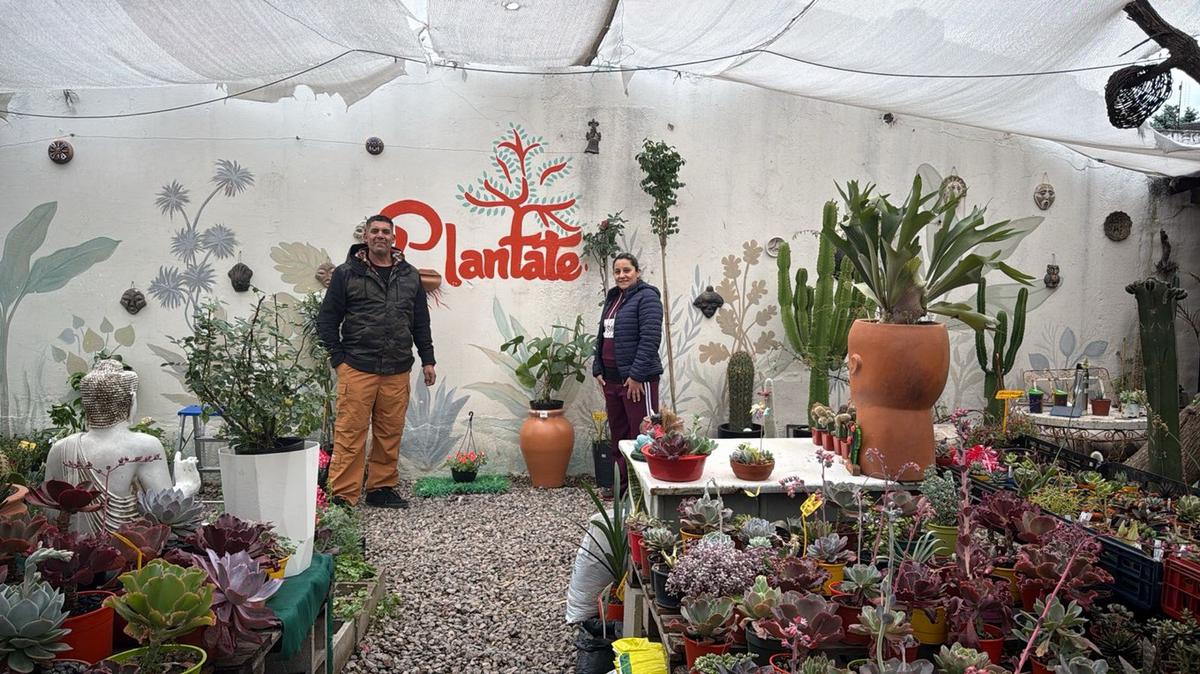 Un vivero que florece en tiempos de crisis