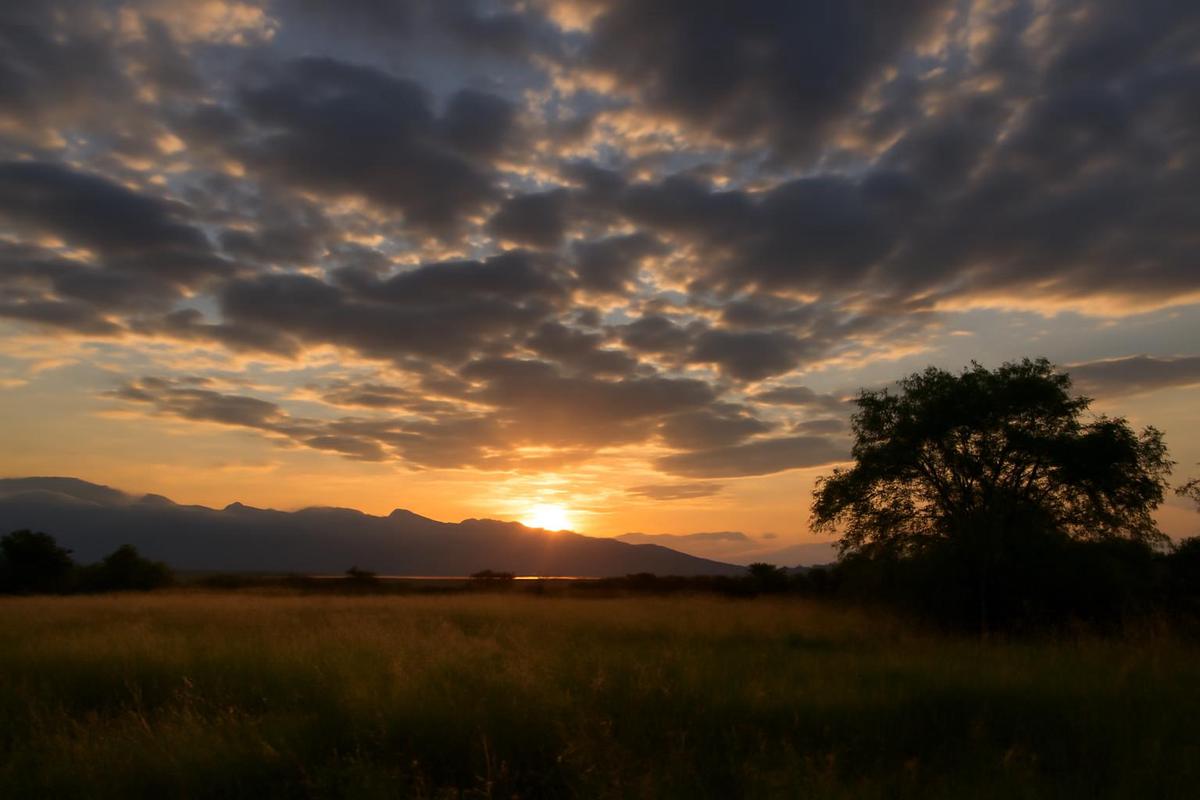 Clima en Salta: pronóstico del tiempo para el 16 de junio