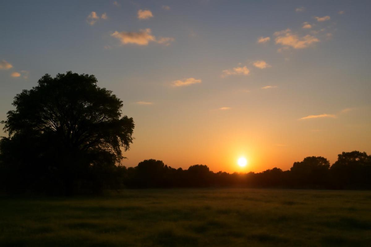 Clima en CABA: pronóstico del tiempo para el 29 de marzo