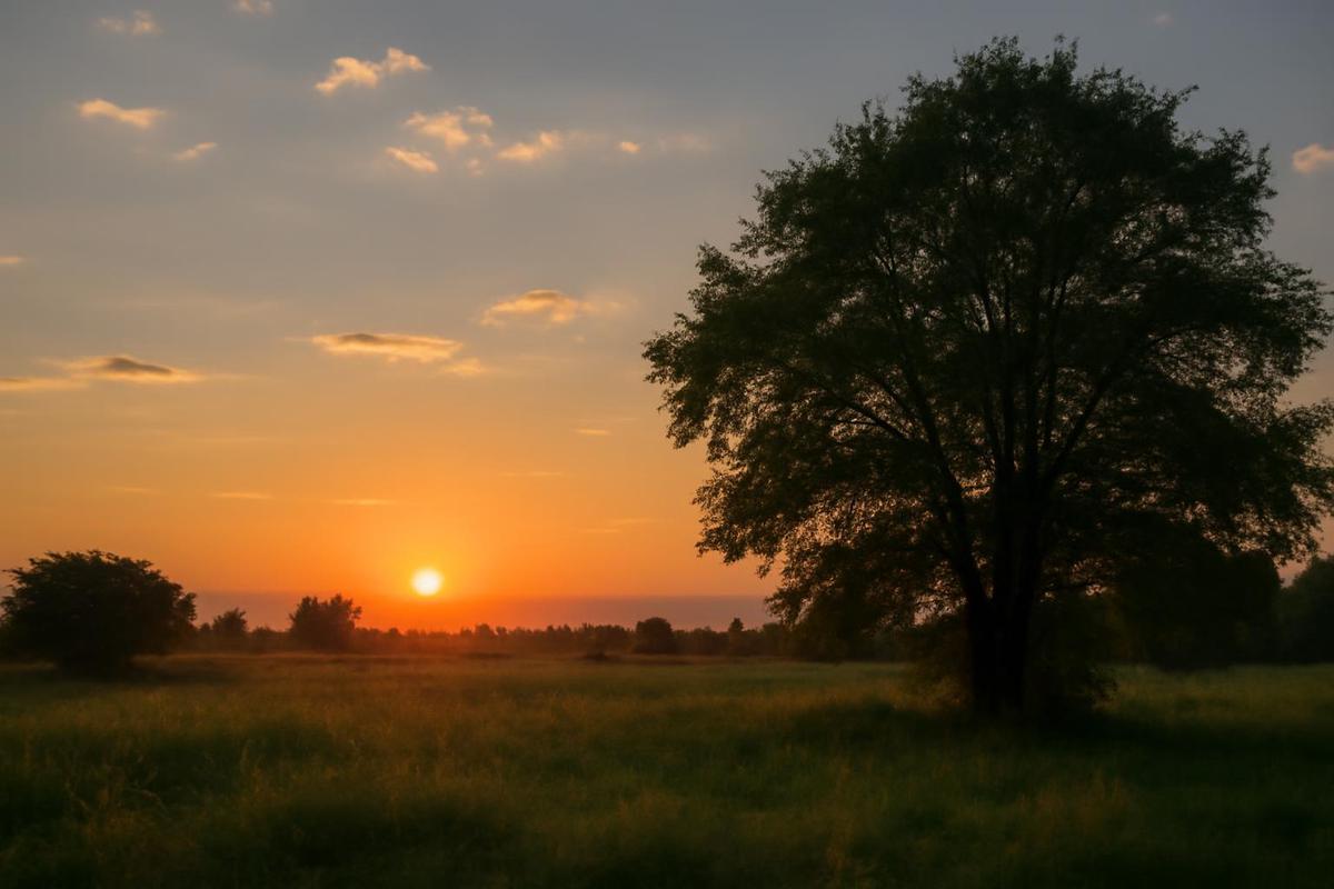 Clima en Tucumán: pronóstico del tiempo para el 26 de julio