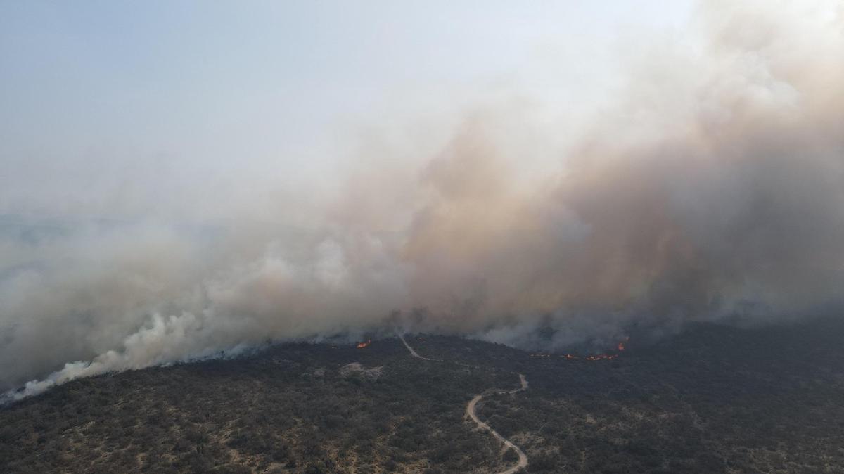 FOTO: El fuego devora el bosque nativo en Capilla del Monte. (Foto: Daniel Cáceres/Cadena3)