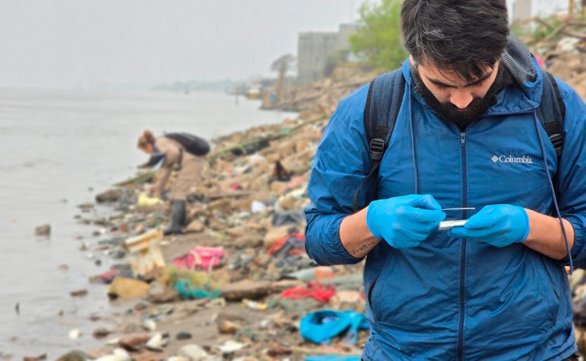 FOTO: Peces muertos en la costa de Rosario: investigan las causas del fenómeno.