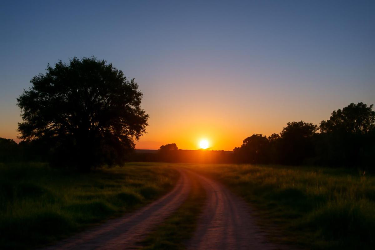 Clima en Mendoza: pronóstico del tiempo para el 14 de abril