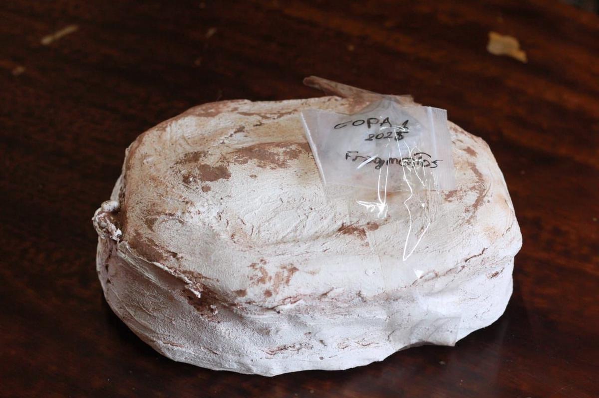 Un hallazgo paleontológico transforma la historia de Córdoba