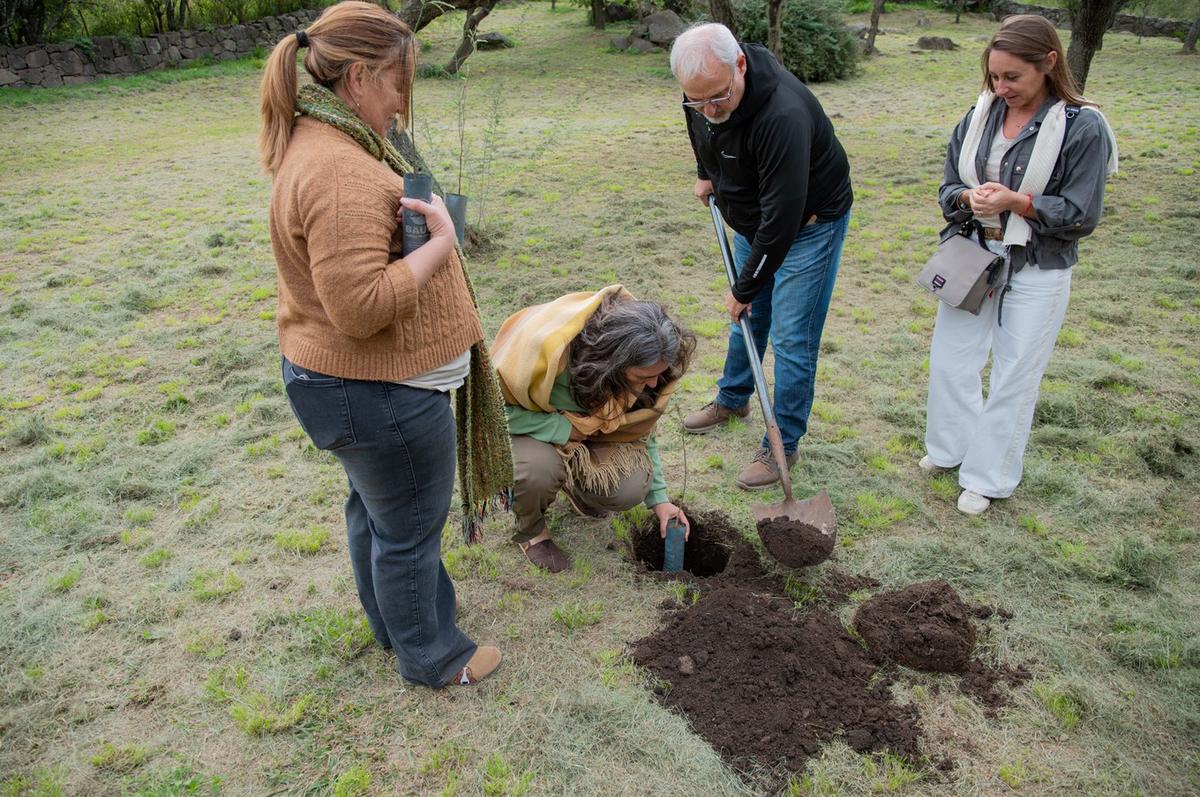 Argentina Reforesta llegó a Sinsacate