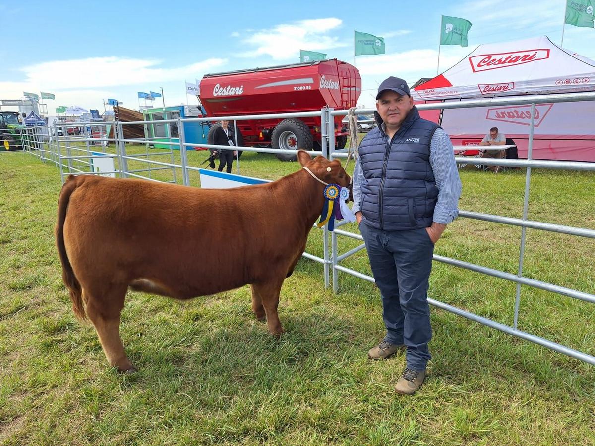 Expo Angus Primavera 