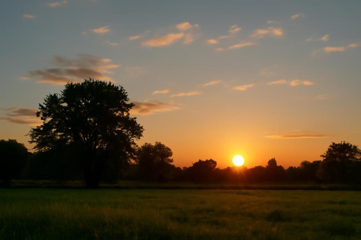 Clima en Tucumán: pronóstico del tiempo para el 19 de julio