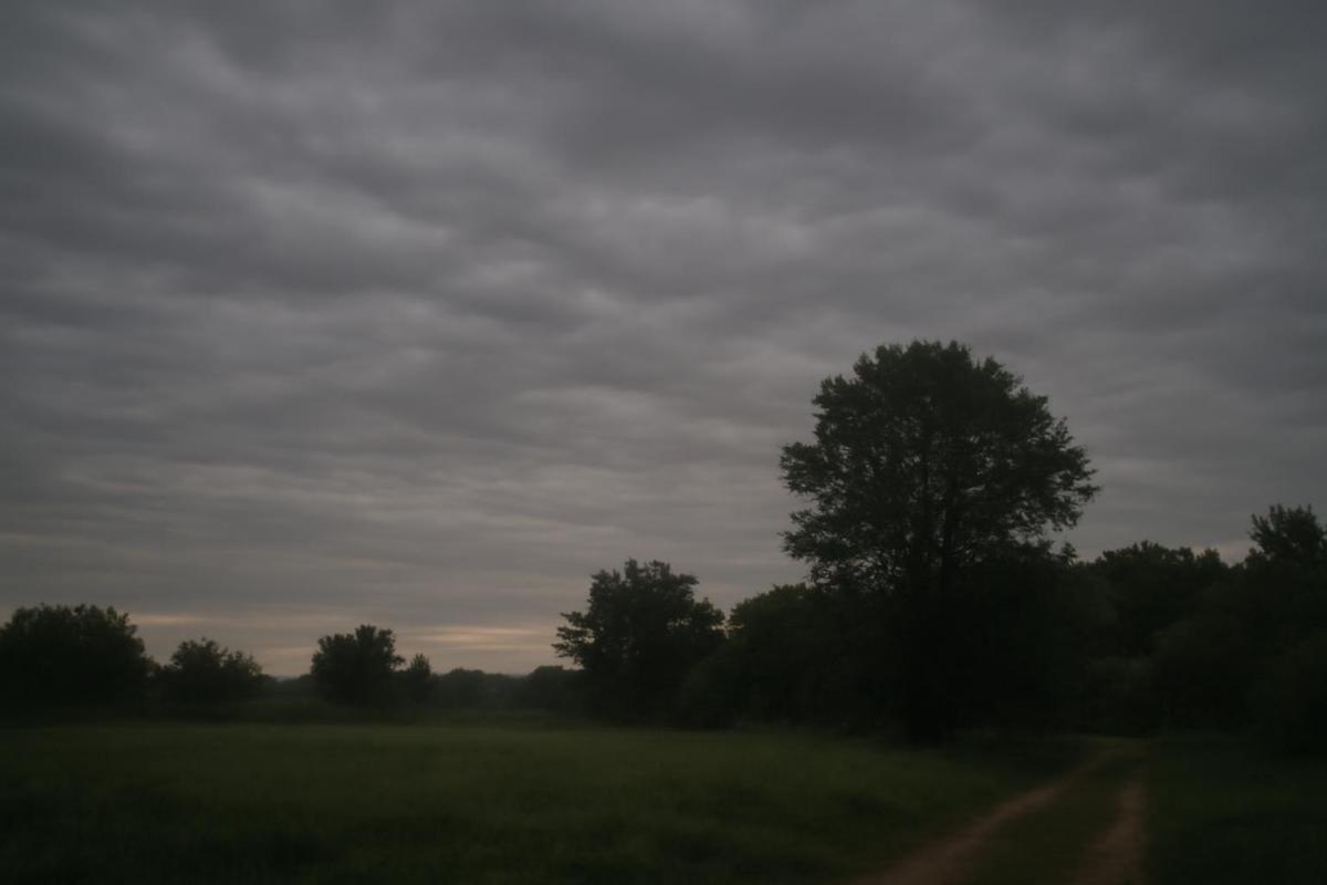 Clima en Salta: pronóstico del tiempo para el 8 de marzo