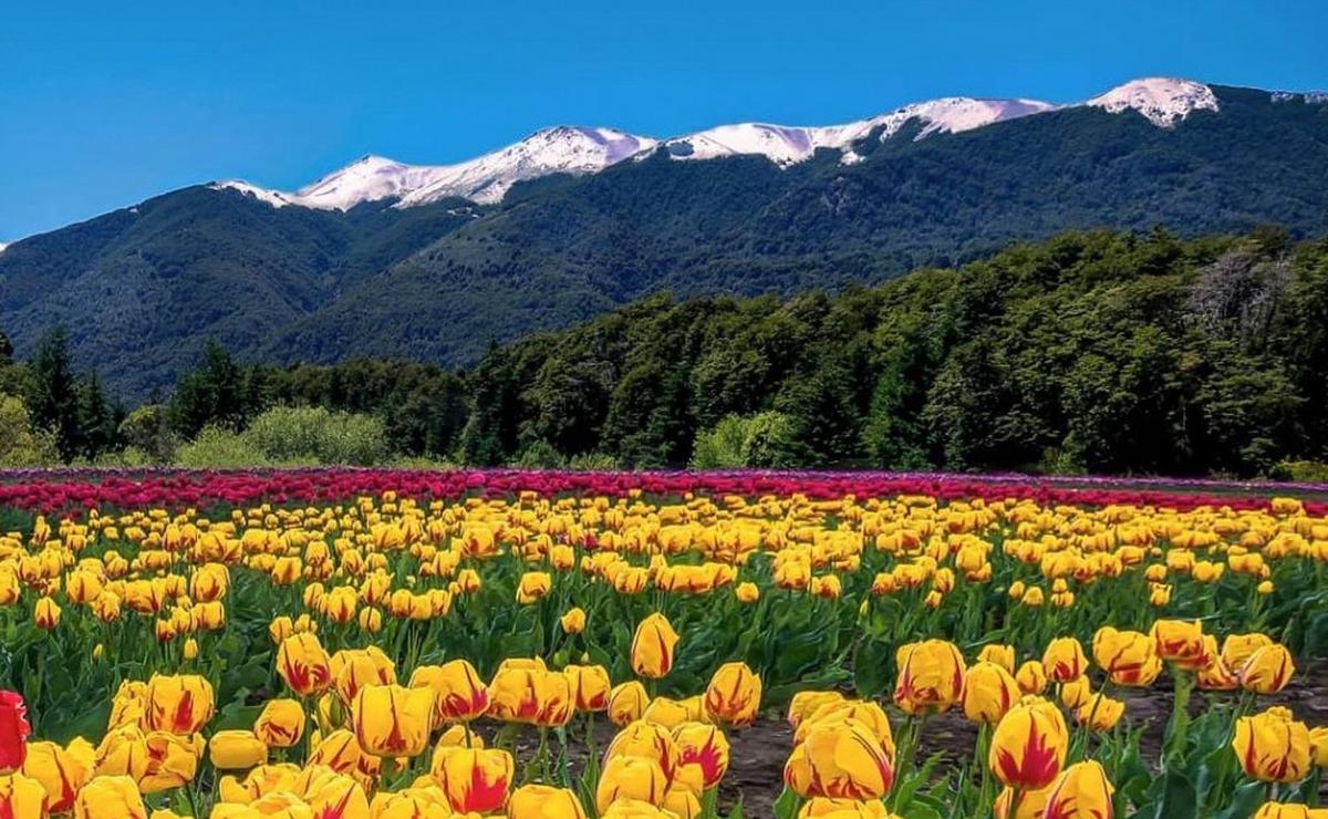 FOTO: Trevelin, uno de los pueblos más lindos del mundo (Foto: Turismo en Argentina).