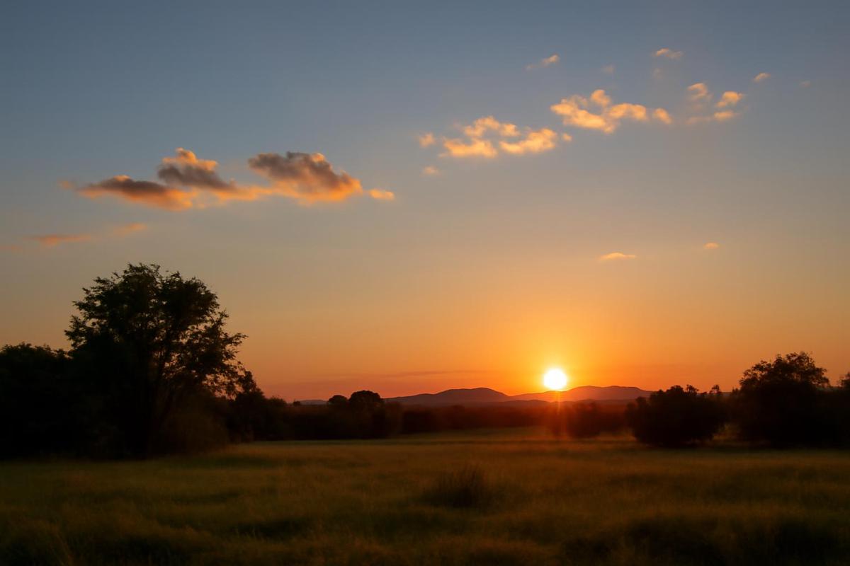 Clima en Salta: pronóstico del tiempo para el 16 de diciembre