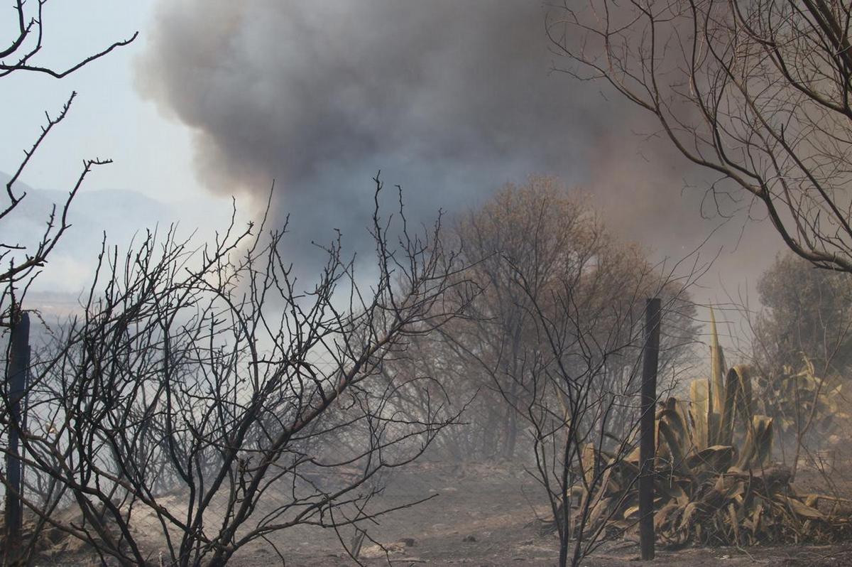 FOTO: Desesperación por los incendios en Los Cocos. (Foto: Daniel Cáceres/Cadena 3)