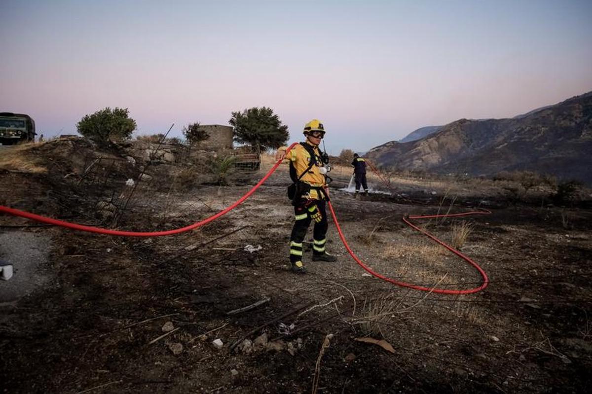 Bomberos combaten un incendio forestal en Grecia.