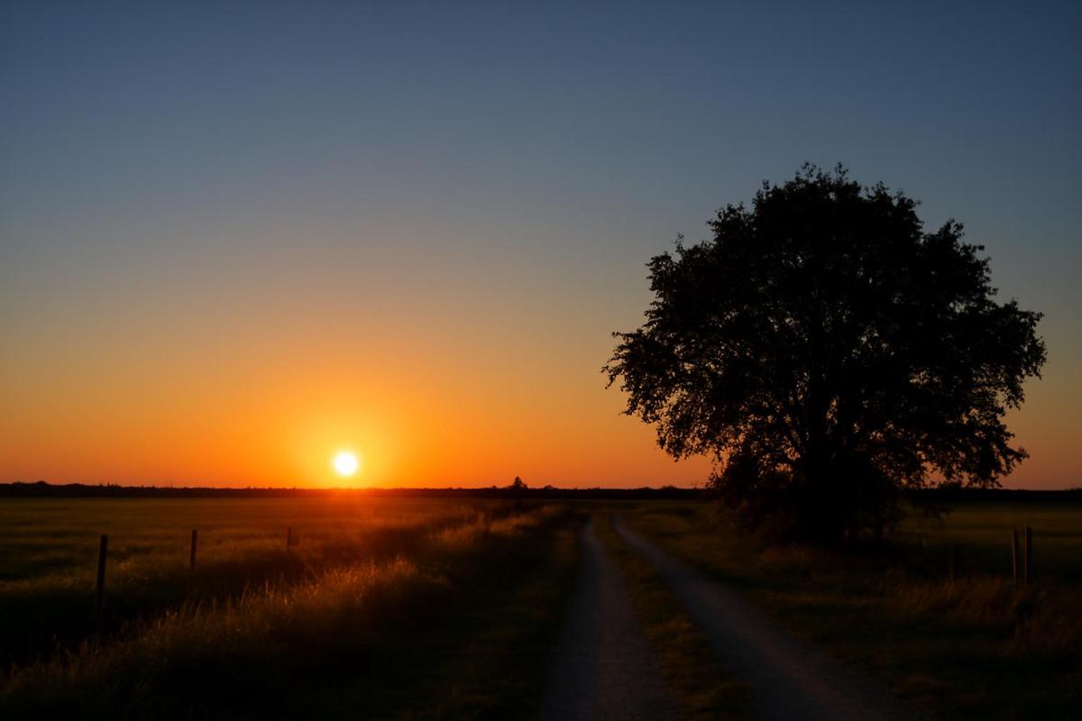 Clima en Santa Fe: pronóstico del tiempo para el 12 de abril