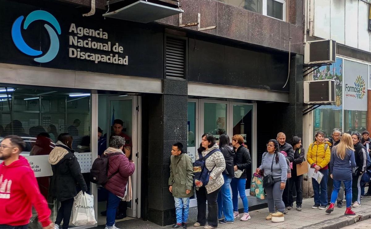 La Agencia Nacional de Discapacidad (Andis).
