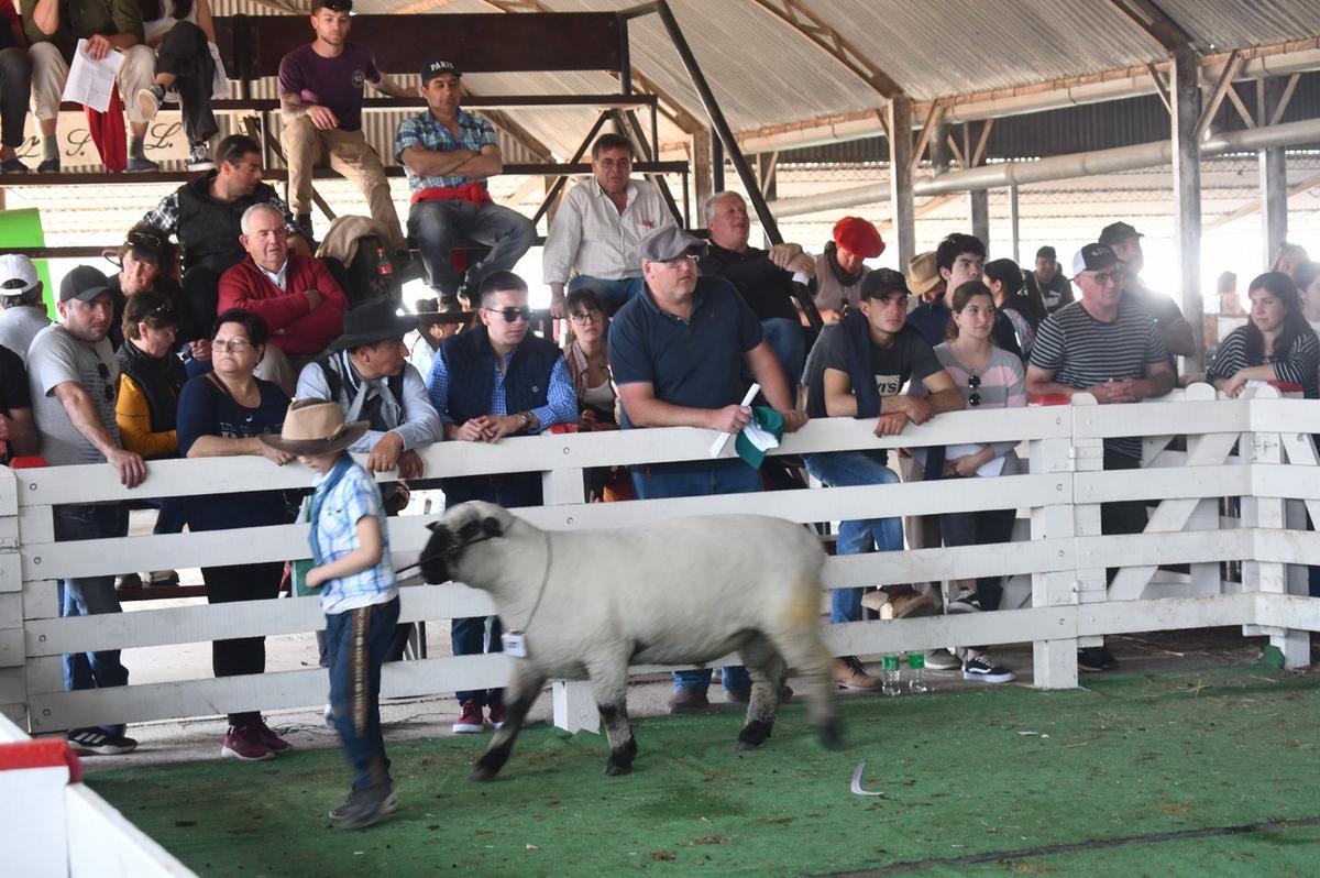 FOTO: 90 Expo Rural Río Cuarto 