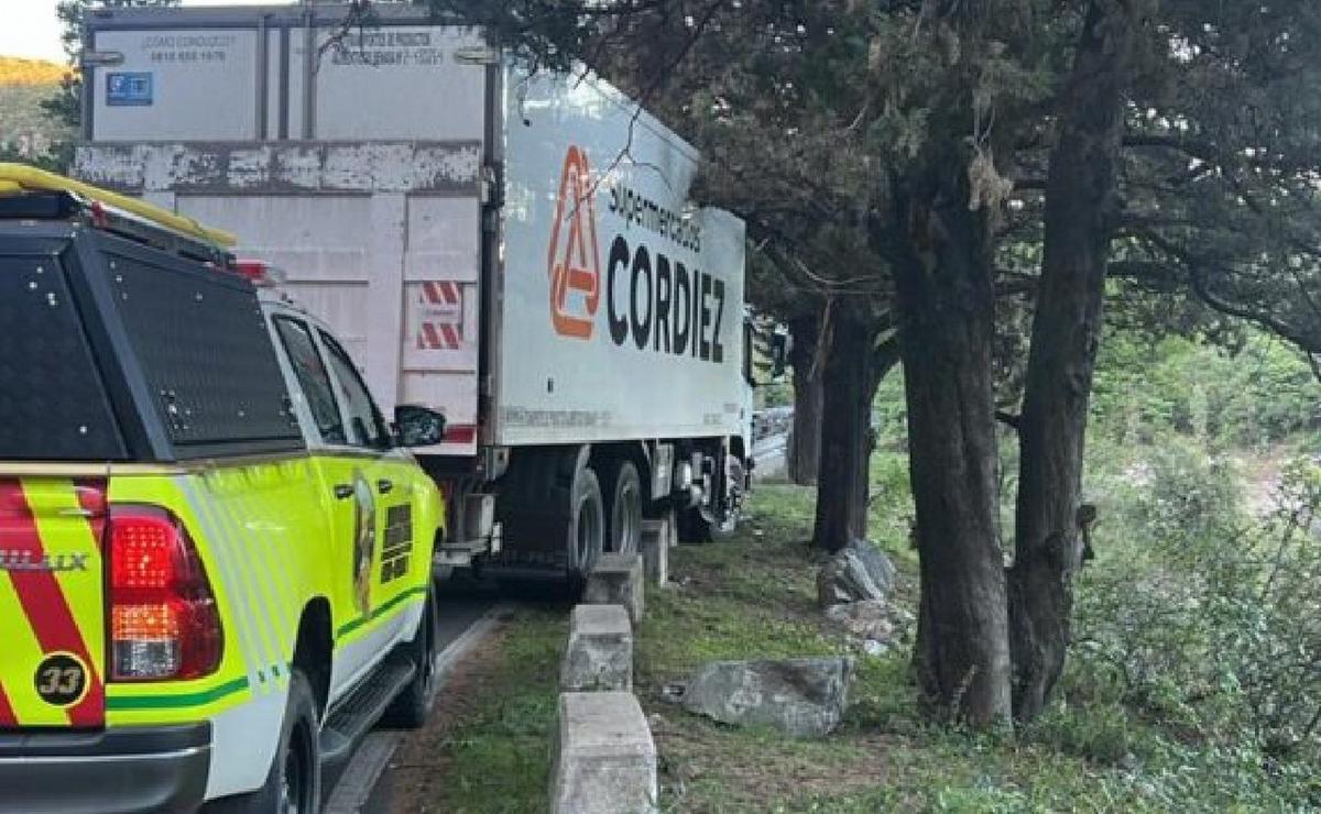 FOTO: El camión estuvo a punto de caer al lago Los Molinos. (Foto gentileza: MiValle)