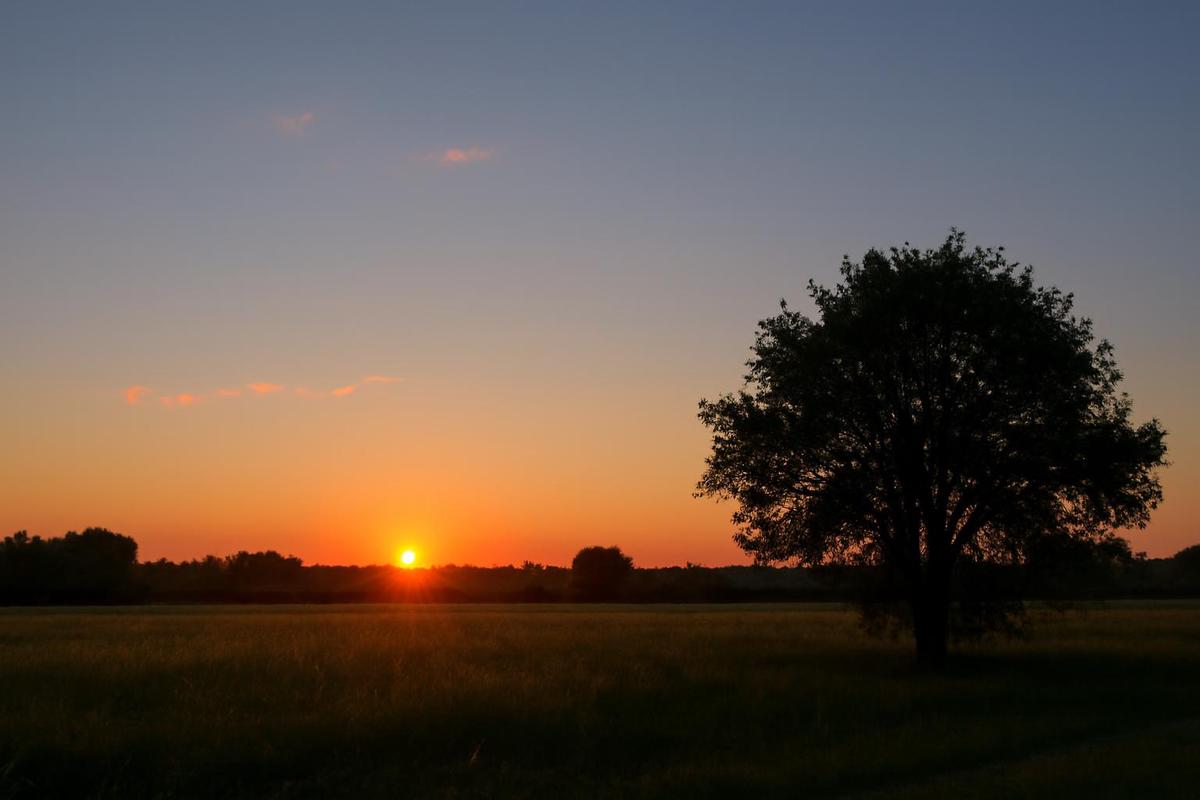 Clima en Santa Fe: pronóstico del tiempo para el 15 de marzo