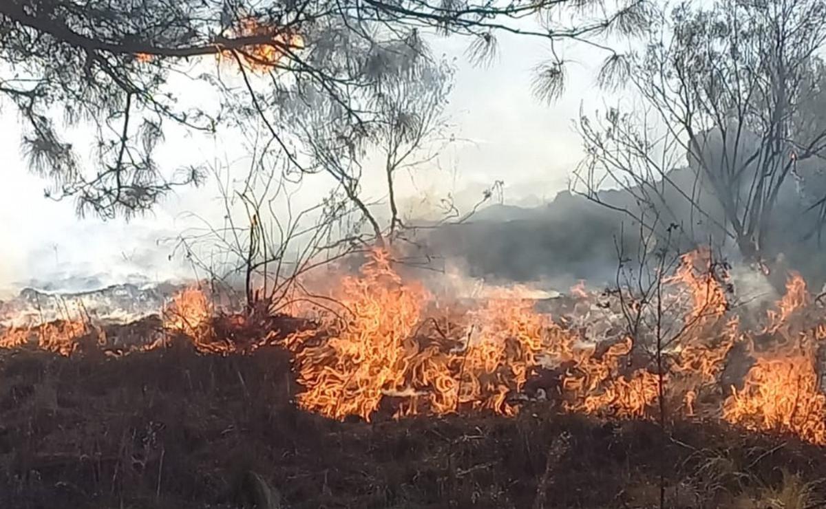 FOTO: Bomberos trabajan en un incendio en San Clemente: el fuego está contenido.