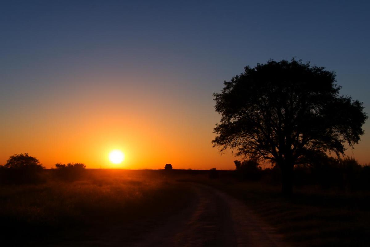 Clima en Rosario: pronóstico del tiempo para el 4 de octubre