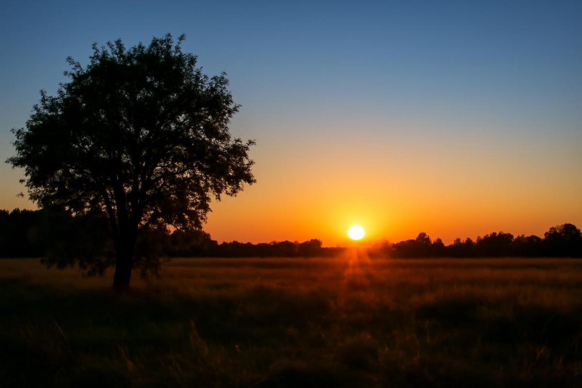 Clima en Rosario: pronóstico del tiempo para el 19 de junio