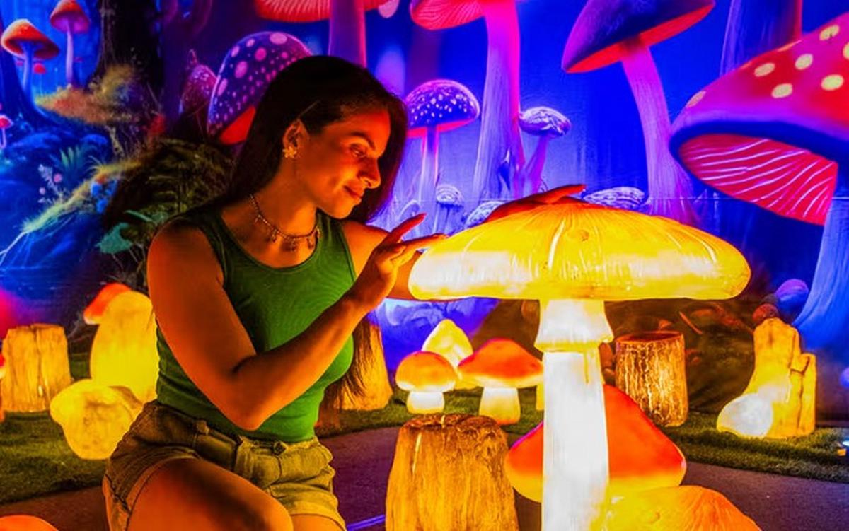 Love Up: la exposición interactiva que cautiva Mar del Plata este verano