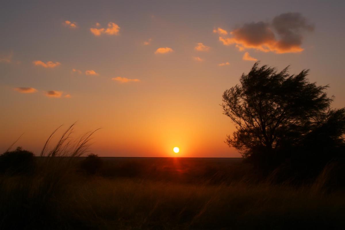 Clima en Salta: pronóstico del tiempo para el 20 de noviembre