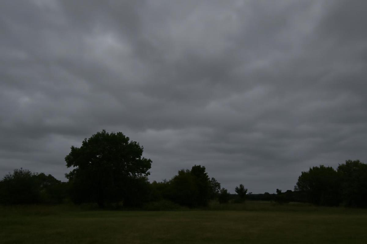 Clima en CABA: pronóstico del tiempo para el 24 de julio
