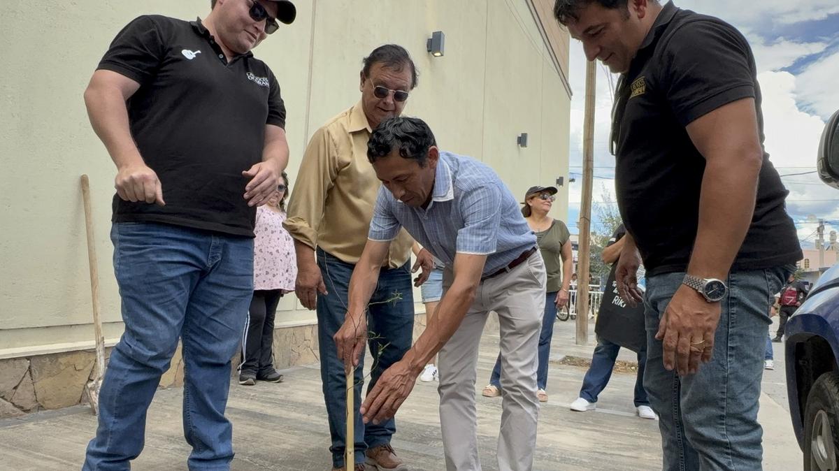 Las Voces de Orán se sumaron a La Argentina Reforesta.