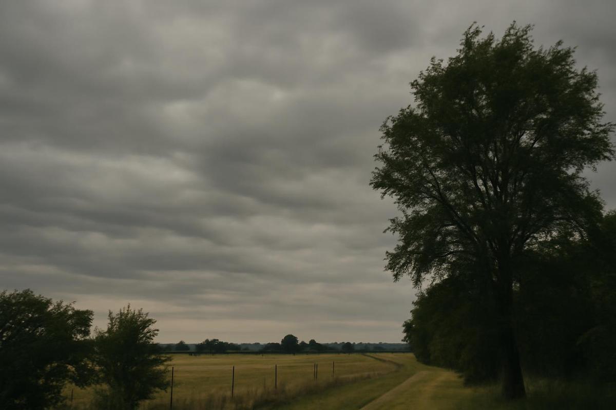 Estado del tiempo en CABA para el 14 de marzo