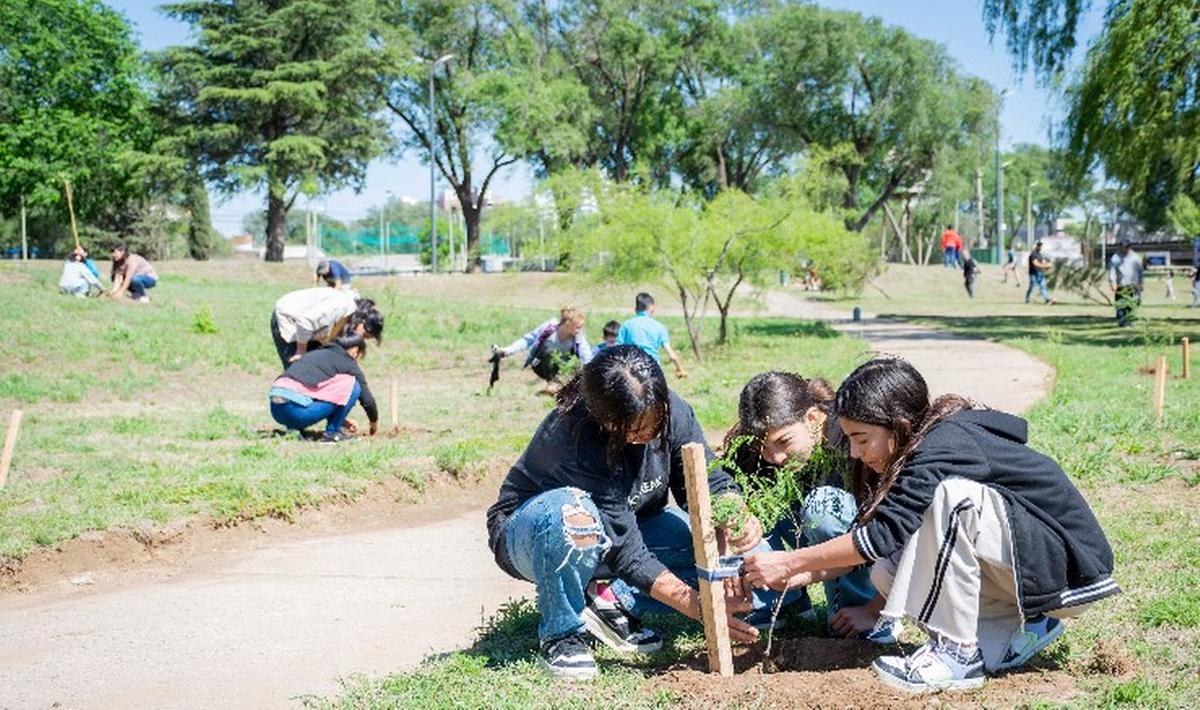 FOTO: Alumnos de Río Cuarto plantaron 100 árboles autóctonos. (Foto: riocuarto.gov.ar)