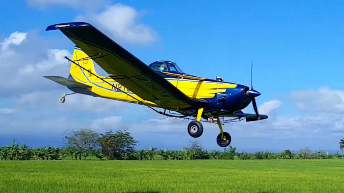 Un piloto de 36 años sobrevivió de milagro a accidente aéreo en Colonia Marina