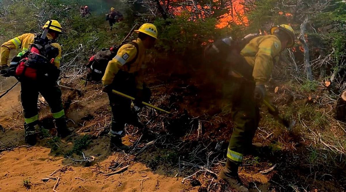 Cafayate: incendio forestal arrasa 200 hectáreas y genera emergencia ambiental