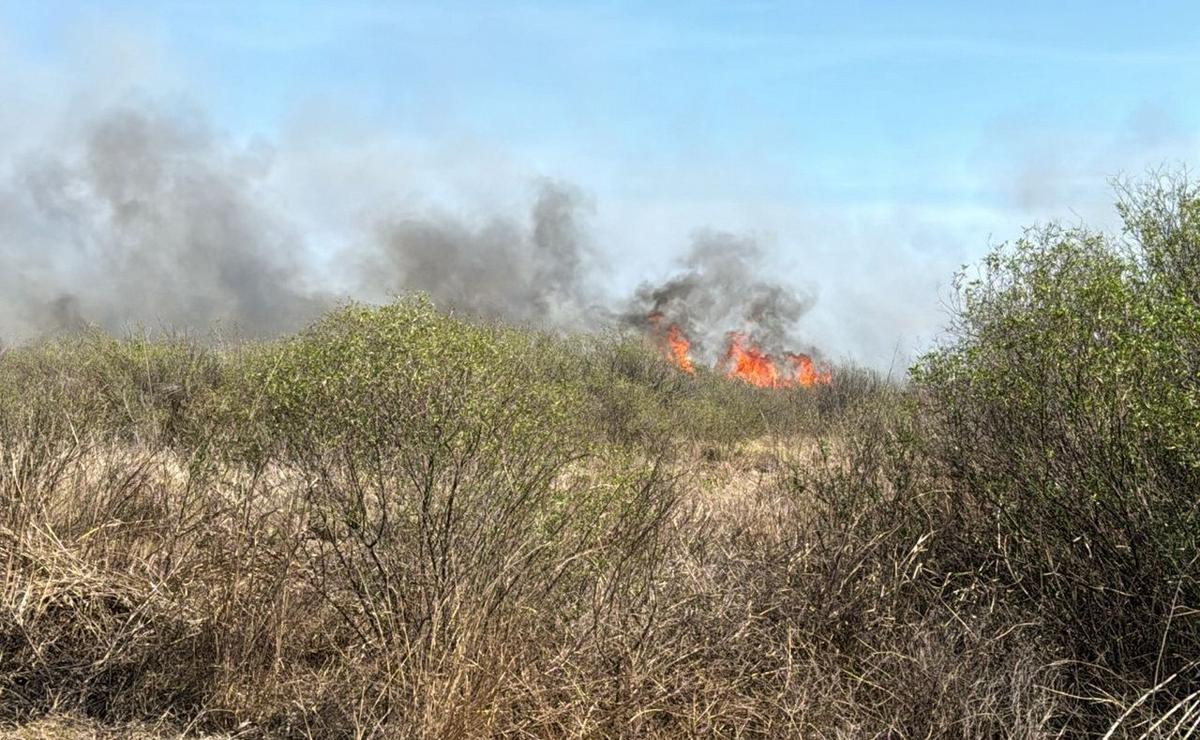 FOTO: Nuevo incendio cerca de la autopista Córdoba-Carlos Paz. (Celeste Benecchi/Cadena 3)