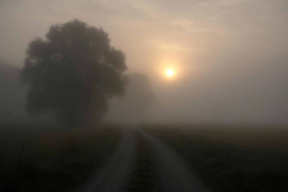 Clima en Salta: pronóstico del tiempo para el 16 de diciembre