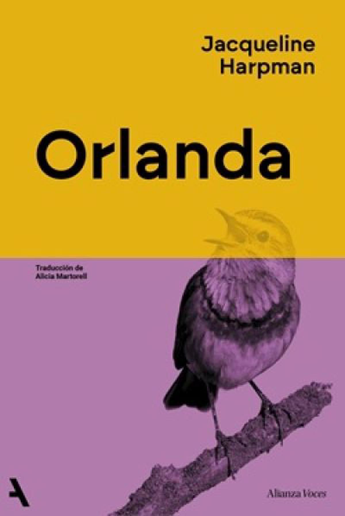 Orlanda: la búsqueda de identidad y libertad en un cuerpo ajeno