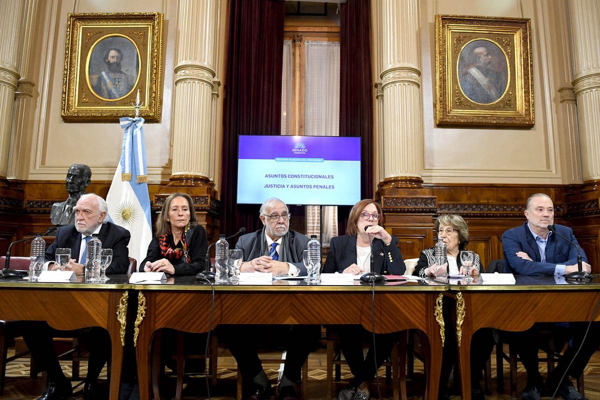 El plenario de las comisiones de Asuntos Constitucionales y de Justicia y Asuntos Penales del Senado.