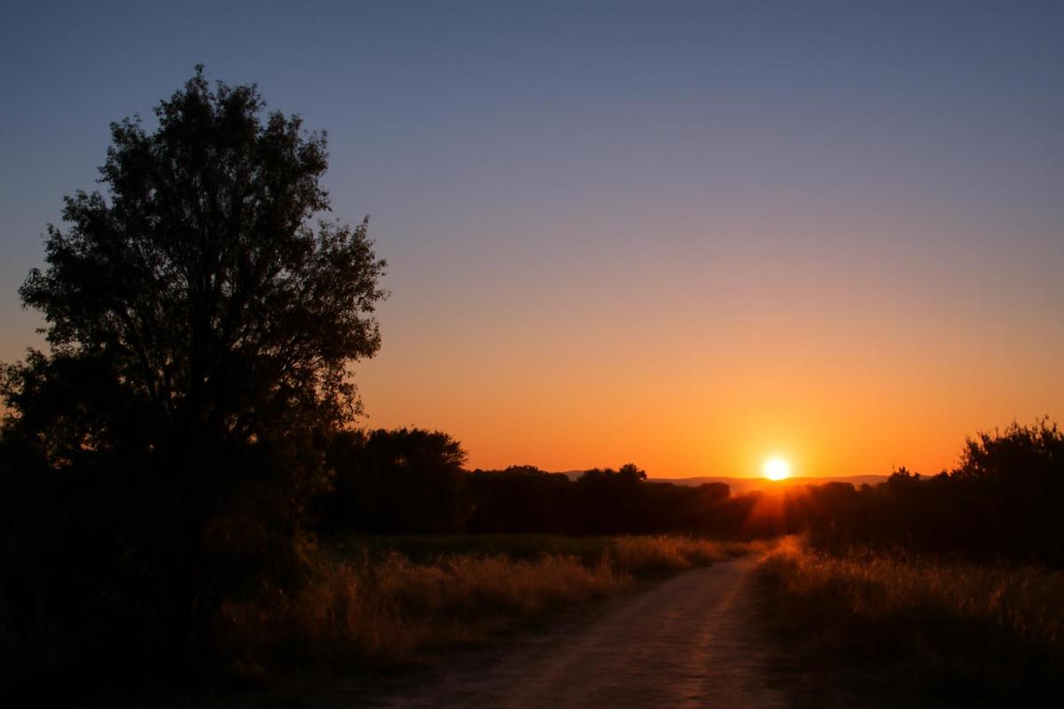 Clima en Mendoza: pronóstico del tiempo para el 3 de diciembre