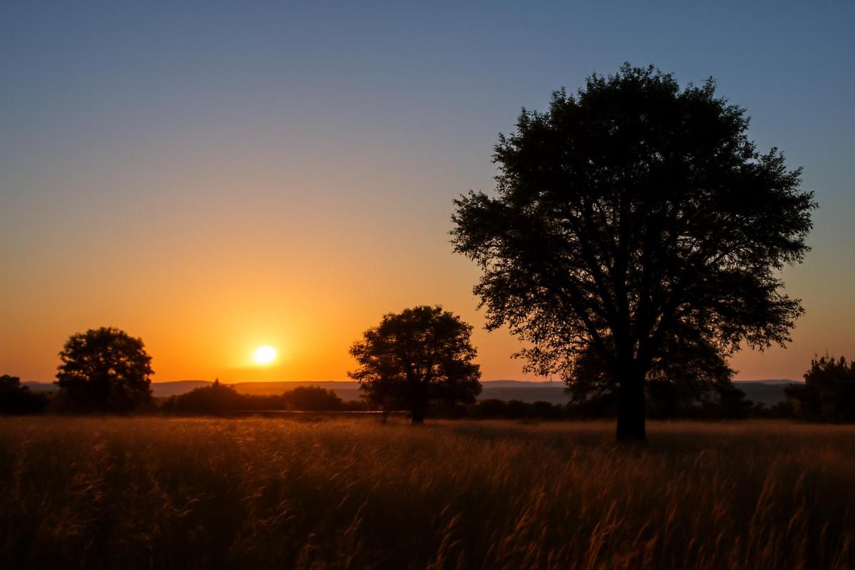 Clima en Salta: pronóstico del tiempo para el 29 de julio