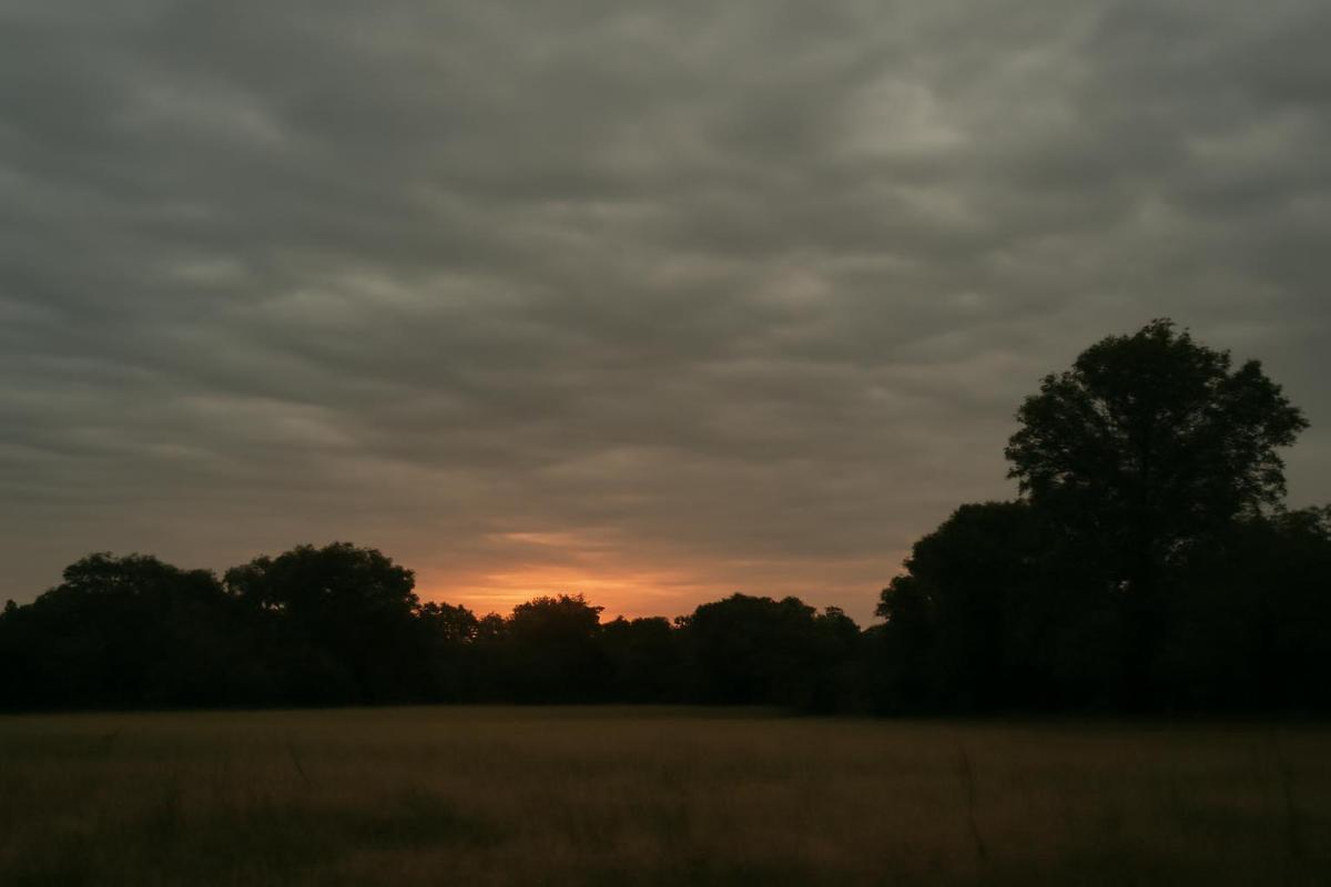 Clima en Rosario: calor extremo y cielo nublado este 27 de enero