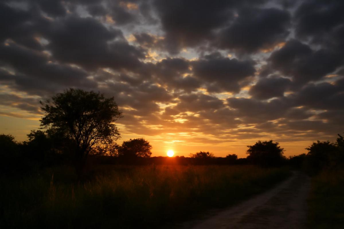 Clima en Salta: pronóstico y temperaturas para el 15 de febrero