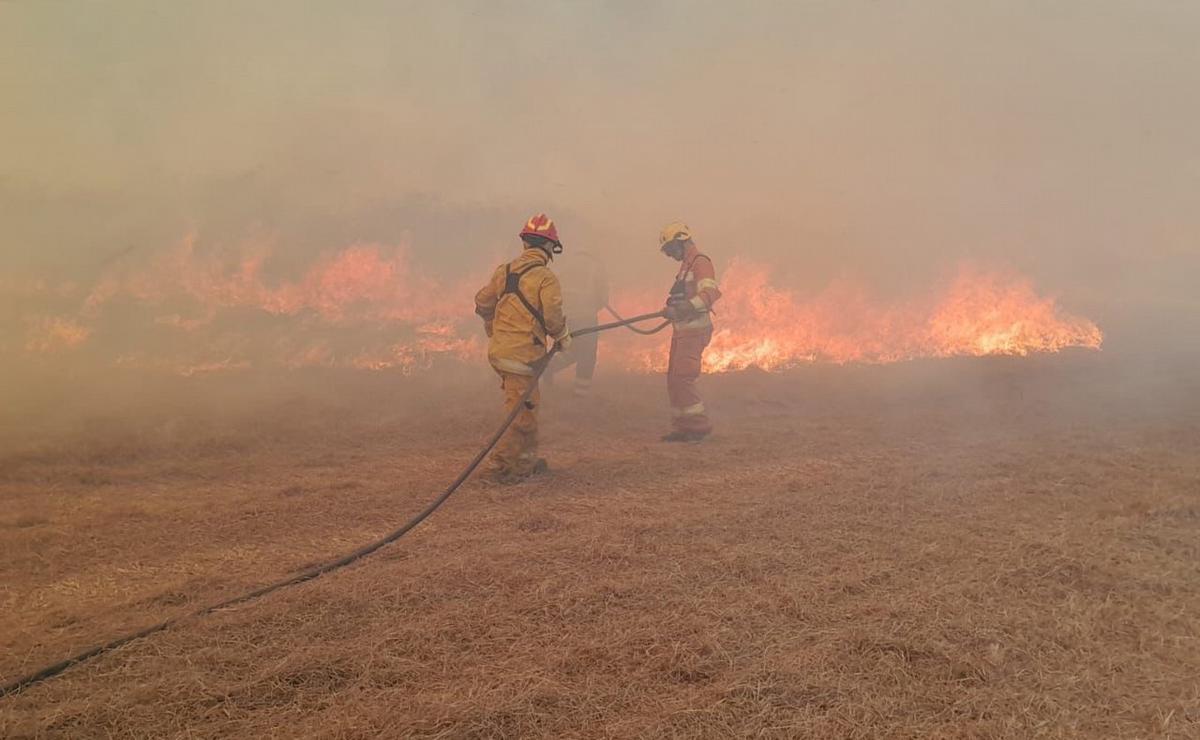 FOTO: Avanza el fuego en la zona de La Mezquita. (Foto: Celeste Benecchi/Cadena 3)