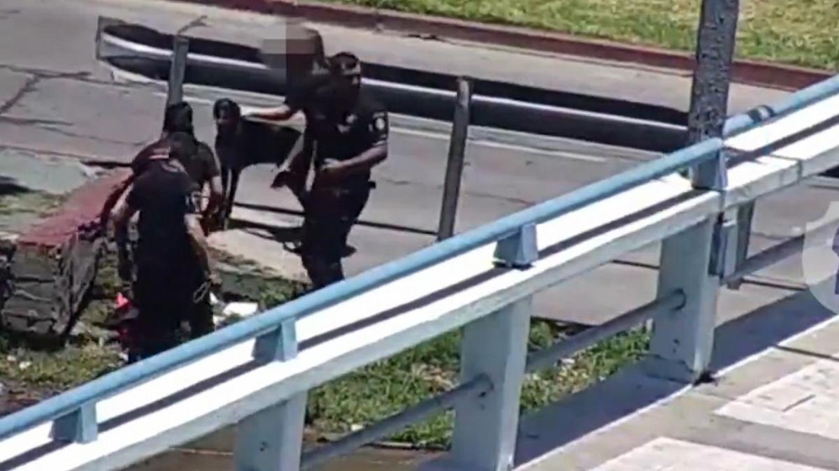 FOTO: Rescataron a un perro y su dueño del río. 