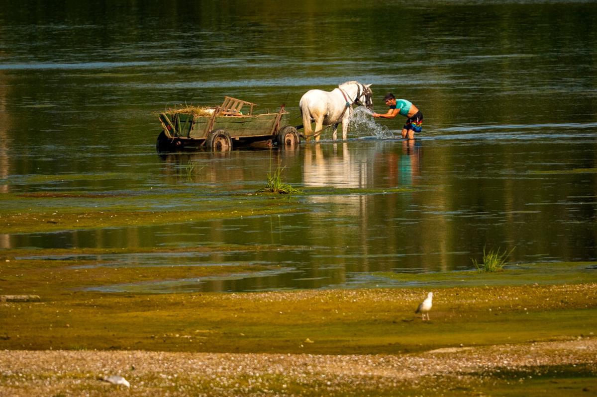 Ola de calor extremo en Europa: Eslovaquia y Austria alcanzan temperaturas récord